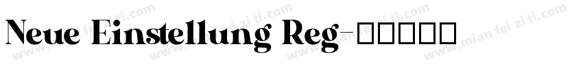 Neue Einstellung Reg字体转换